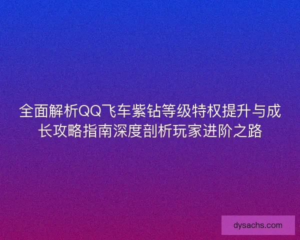 全面解析QQ飞车紫钻等级特权提升与成长攻略指南深度剖析玩家进阶之路